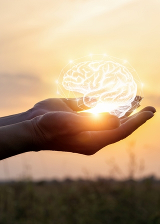 stage Psychologie Vectorielle